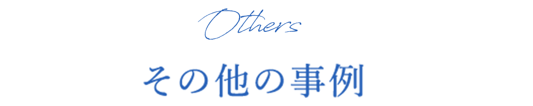 その他の事例