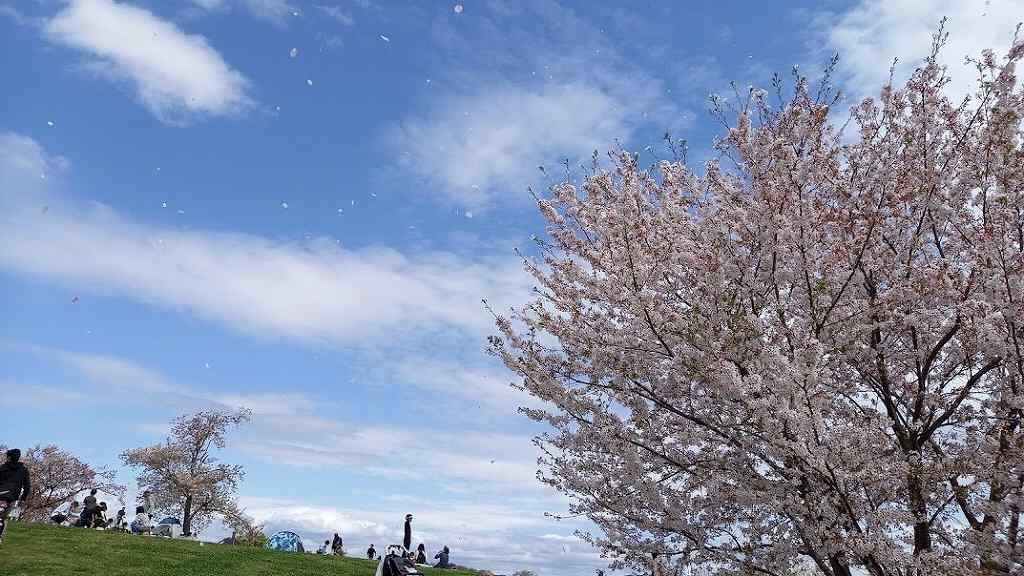 リベロスクウェア河内山本Ⅶ